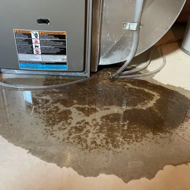 Appliance Leak Cleanup in Monroe County, IN